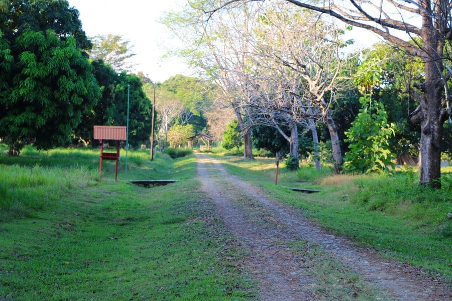 Coastal Development Land, Dominical, Puntarenas