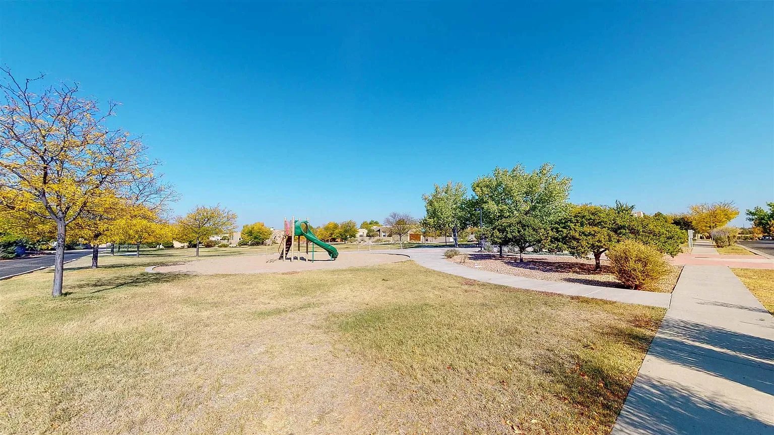 3 Butterfly Bush Ct