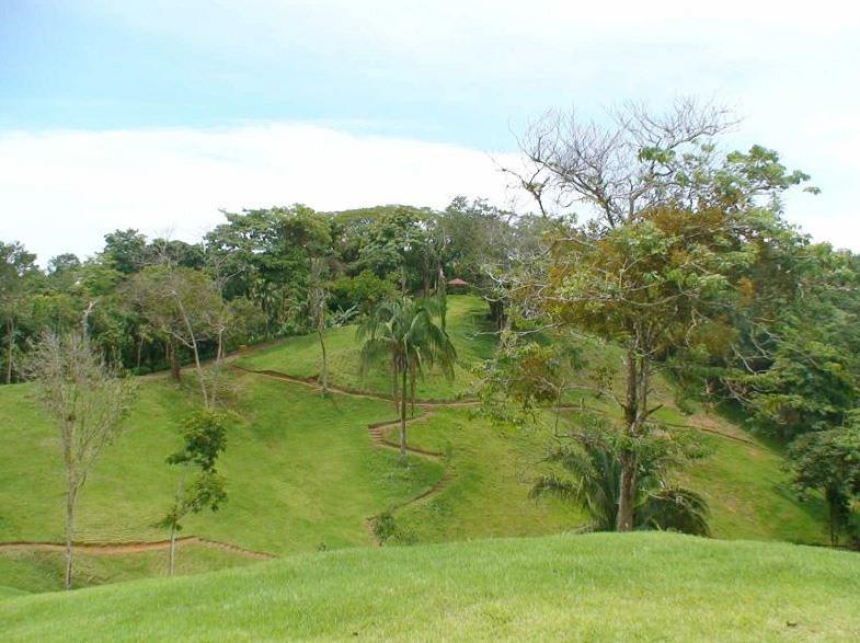 Manuel Antonio Vistas