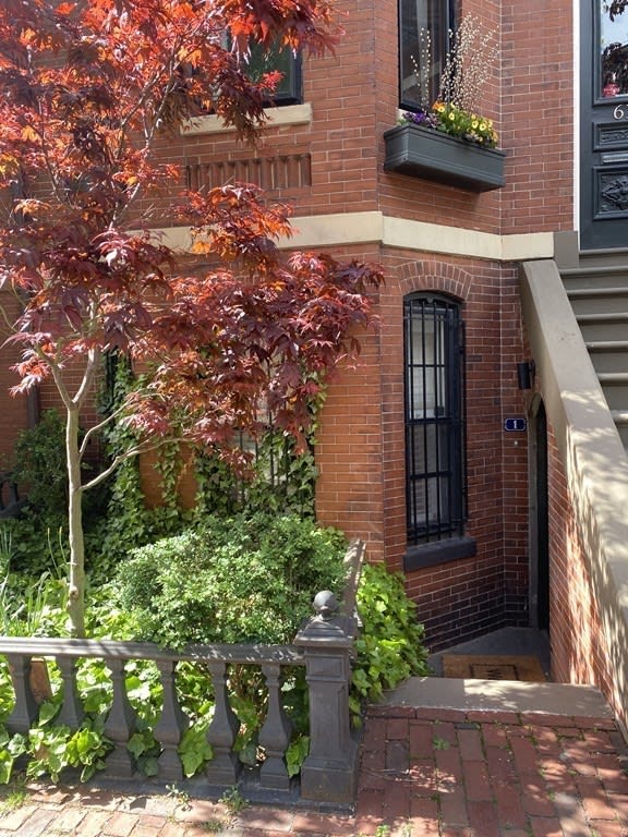 61 Chandler St, #1
