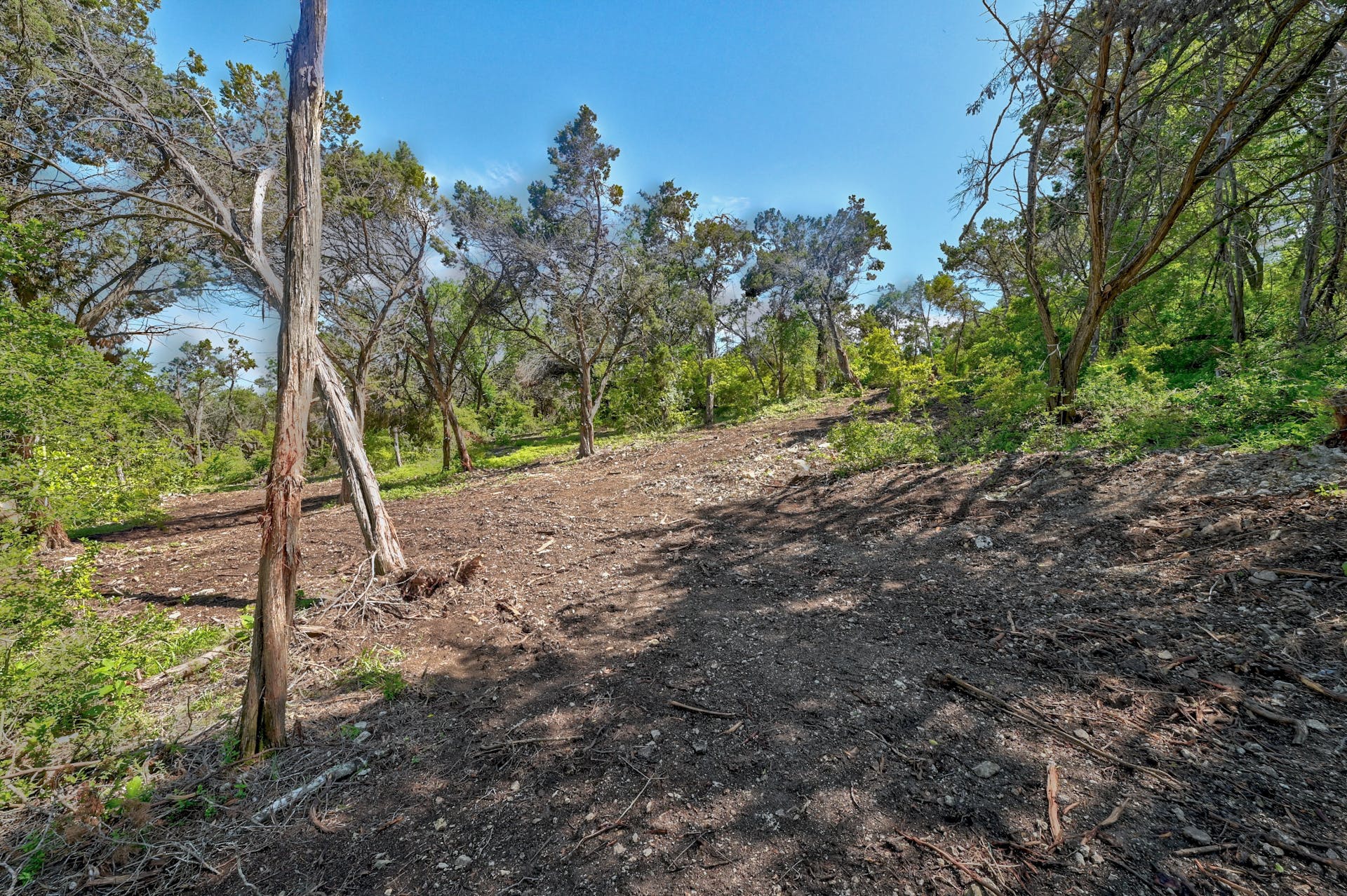 1217 Yaupon Valley Road