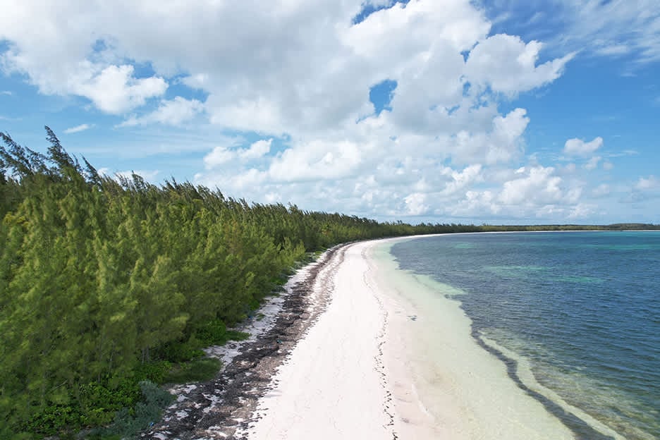 Prime Beachfront Development Site