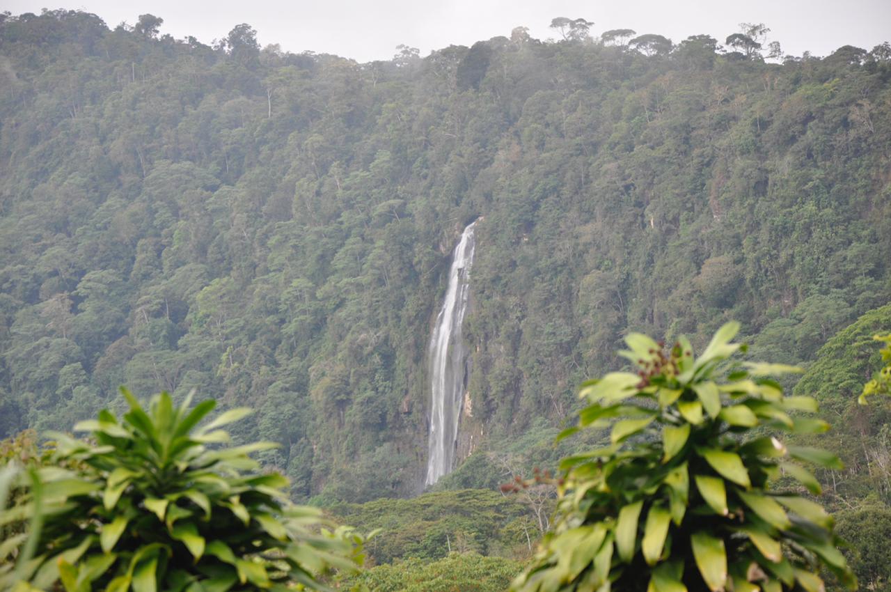 Waterfall View Farm On 80% Usable Land In Uvita