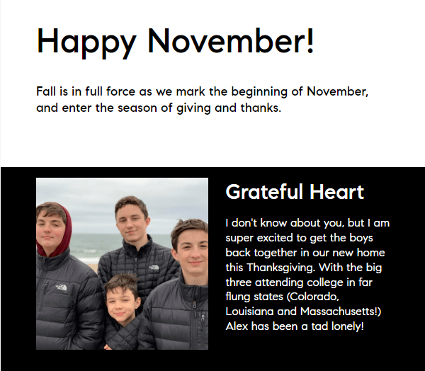 November 2022 Newsletter