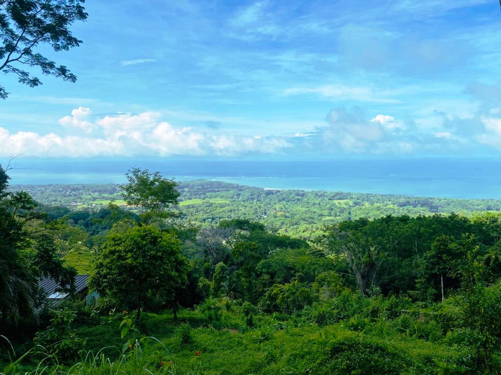 Gorgeous 1.43 Acres in Uvita Costa Rica Your Slice of Paradise Awaits