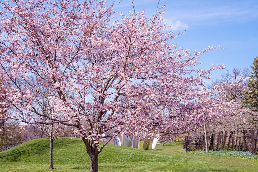 Midwest destinations where you can enjoy the beauty of spring