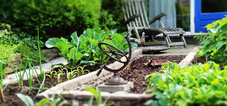 Self Sufficiency in 2016