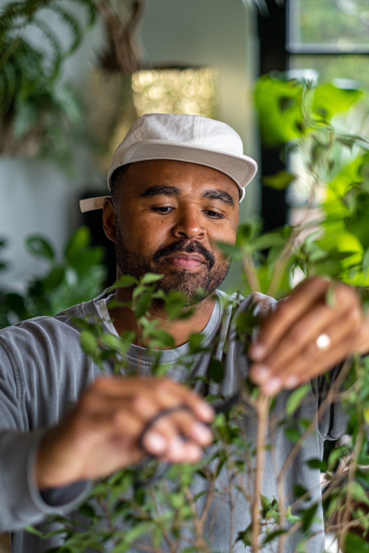 Q & A with House Plant Expert Hilton Carter