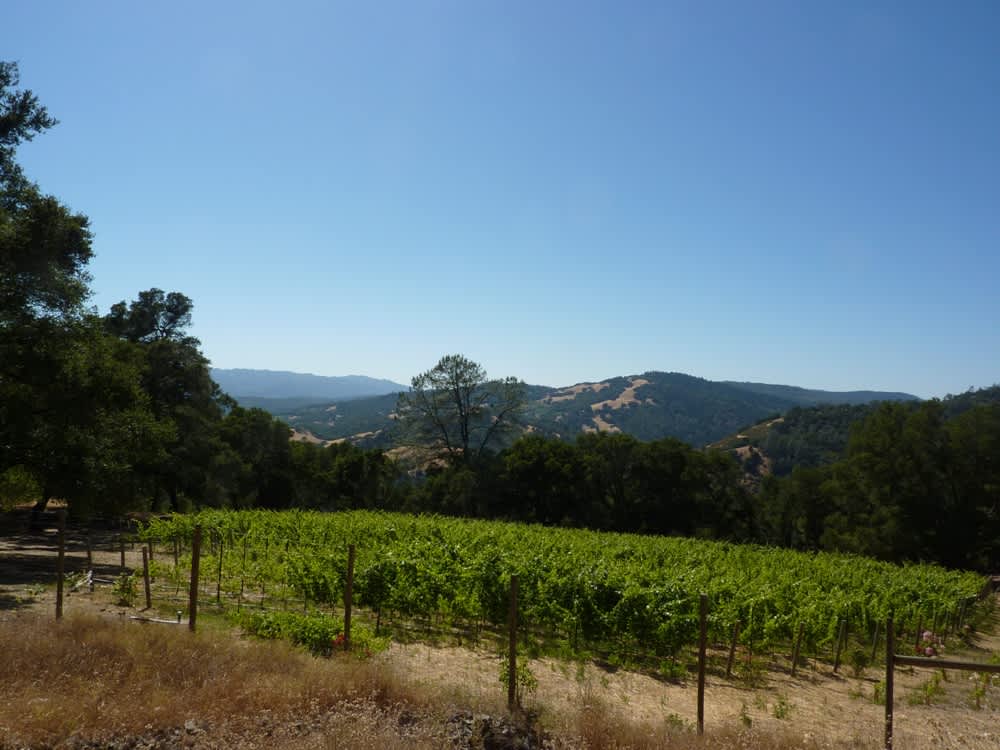 Fabulous 109+ Acres in St. Helena - SOLD