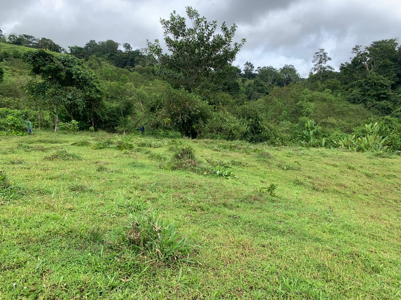 27.6 Acres On The Rio Morenos