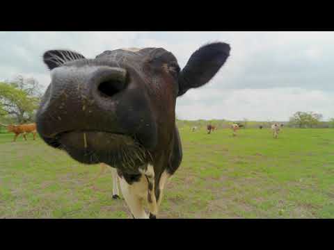 Touring Double Nickel Ranch with Kaylee Sutton