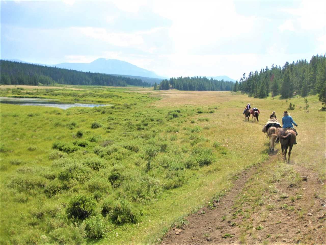 7800 Farwell Canyon Road, Williams Lake
