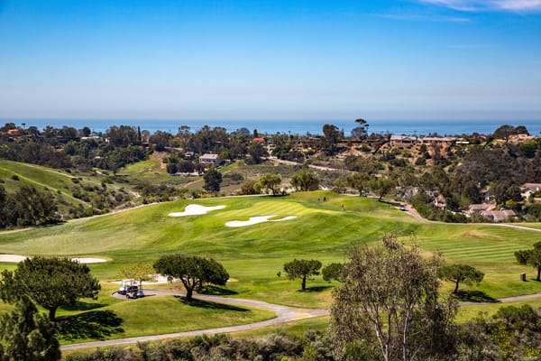 VIEWS & LUXURY LIVING in Encinitas with Sue & Gina De Legge