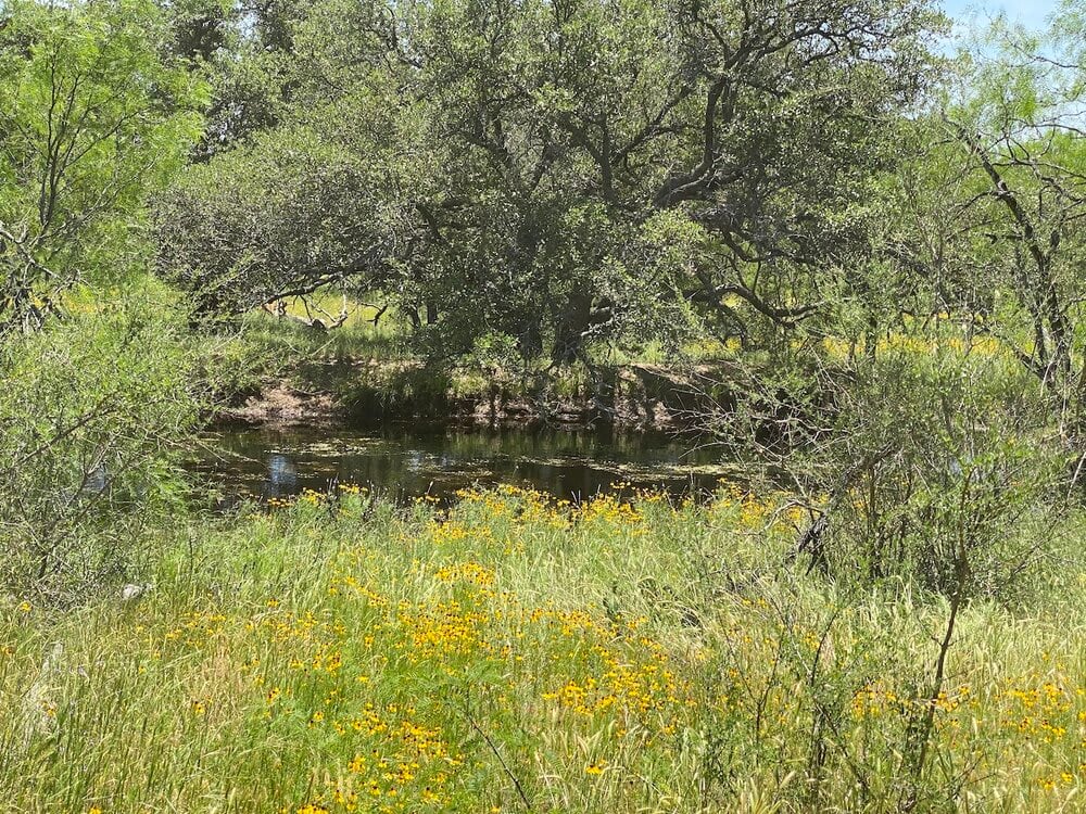 Art Ranch