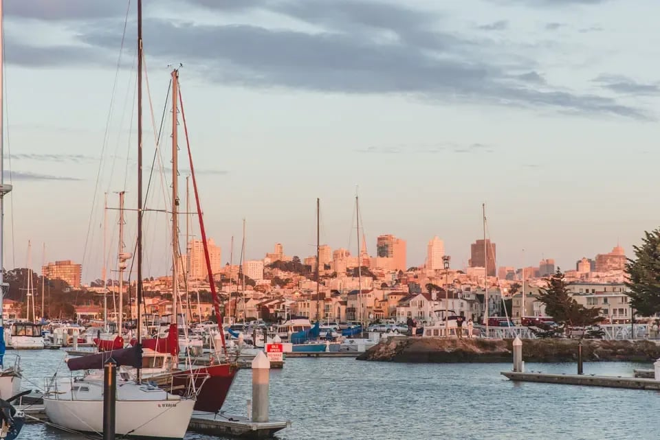Revealing the Marina: 5 Local Businesses to Visit in San Francisco's Coastal Gem