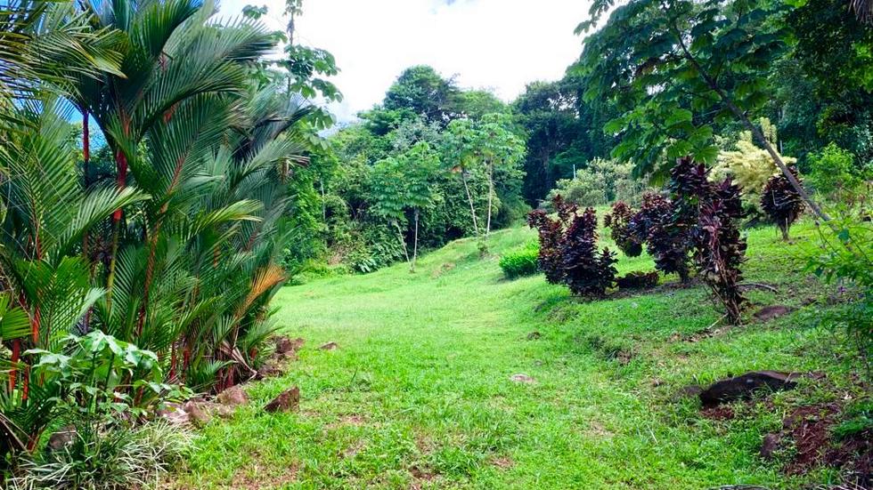 Ocean View Property with a Prime Location and Legal Water in Escaleras Dominical