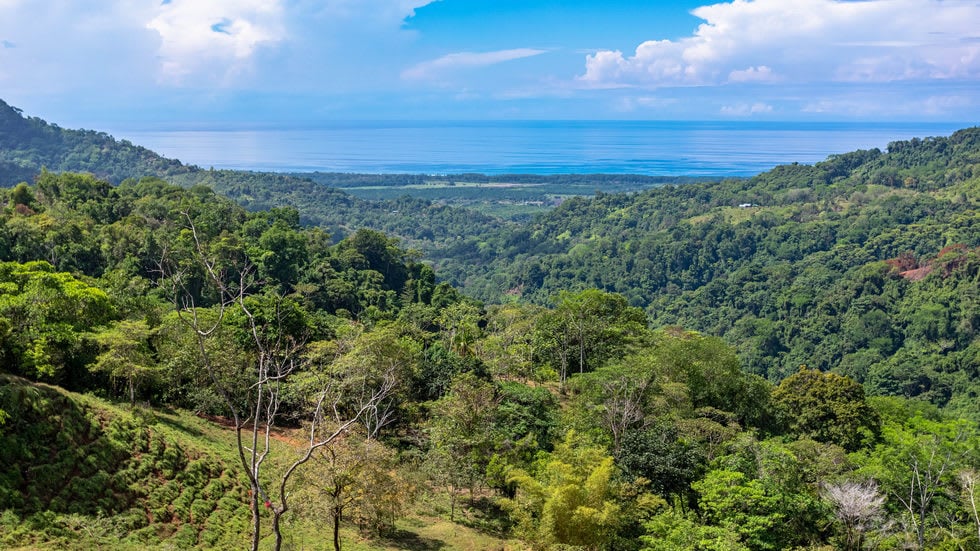 238 Acre Ocean View Property in Portalon with Waterfall