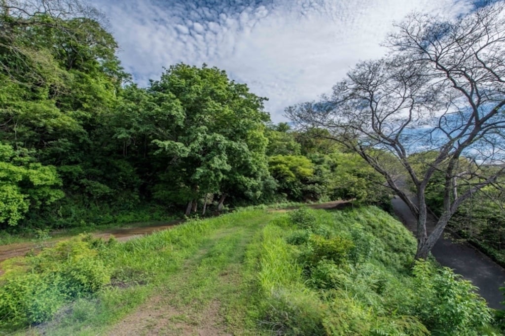 Ocean View Gated Development Lot, Tamarindo, Guanacaste