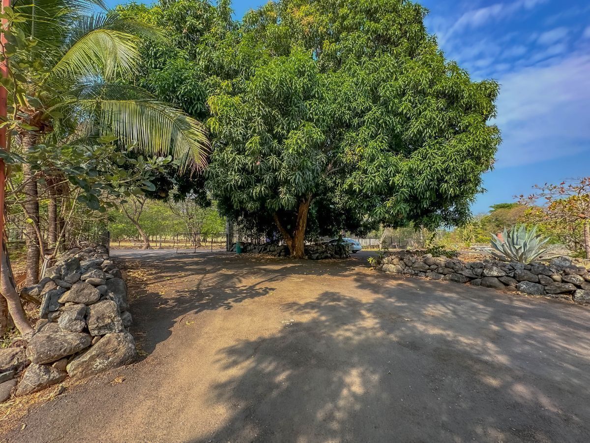 Versatile Plaza Investment, Papagayo, Guanacaste