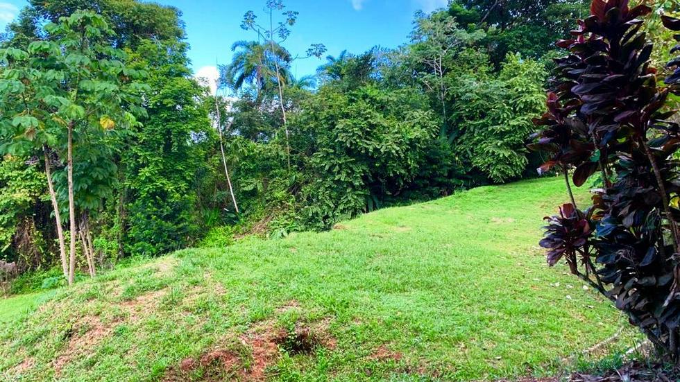 Ocean View Property with a Prime Location and Legal Water in Escaleras Dominical