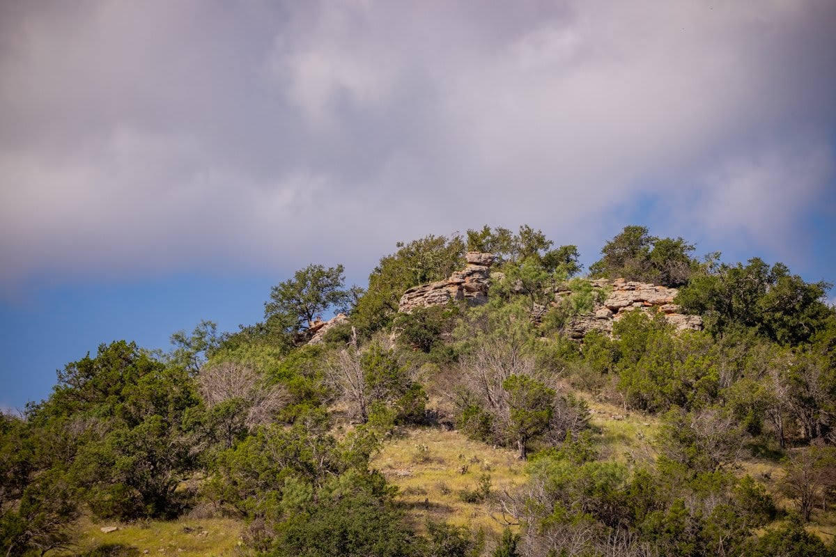 Packsaddle Ranch