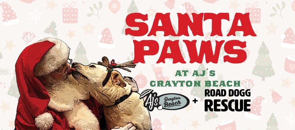 Santa Paws