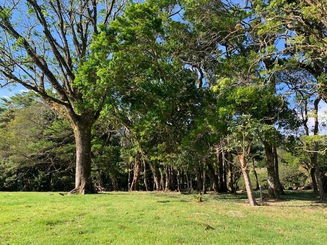 Vast Mountain Farm Acreage, Heredia