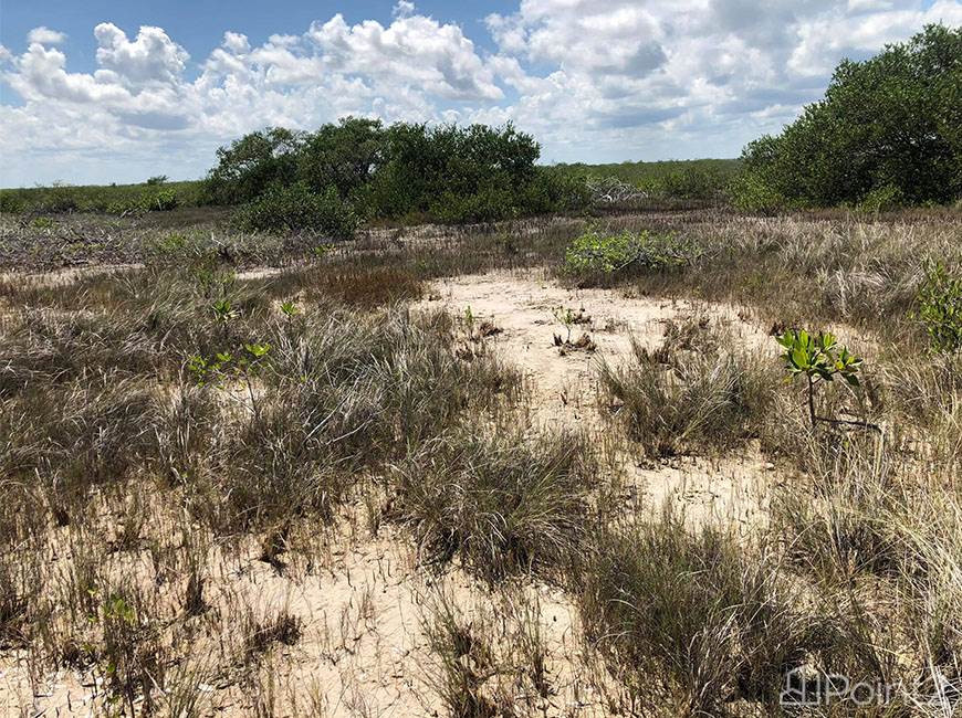 150 feet beachfront 2.25 acres off-grid homesite