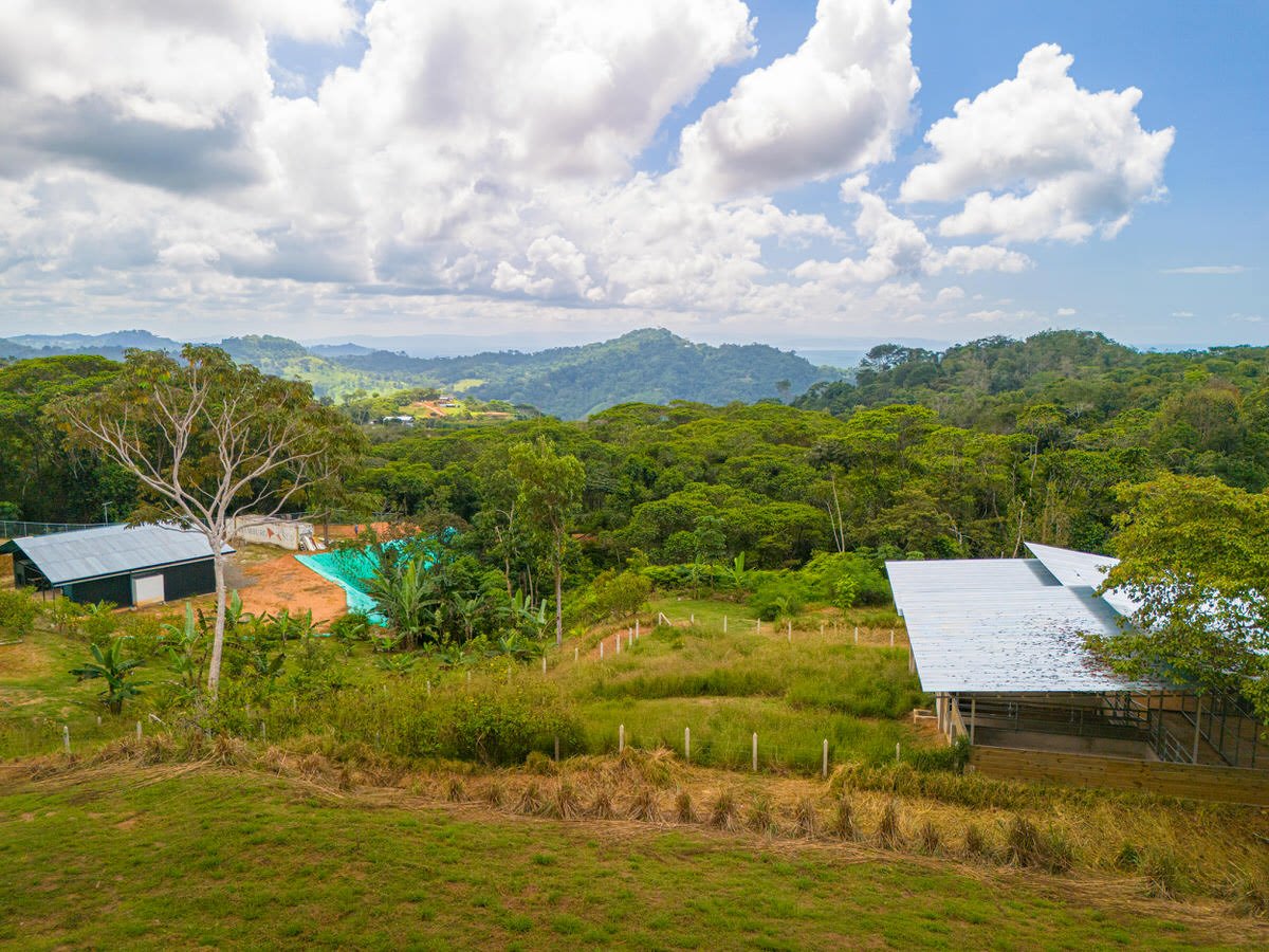 Oceanview Homestead for Sale, Tres Rios, Costa Rica