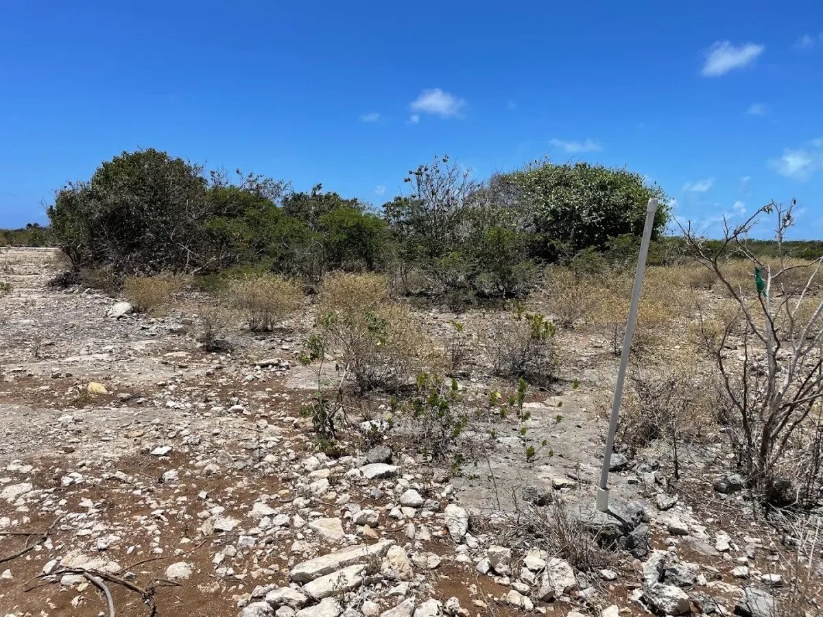 Anegada Land 