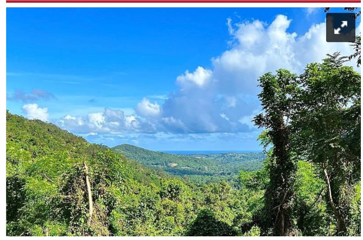 MonteCielo Riverfront Property