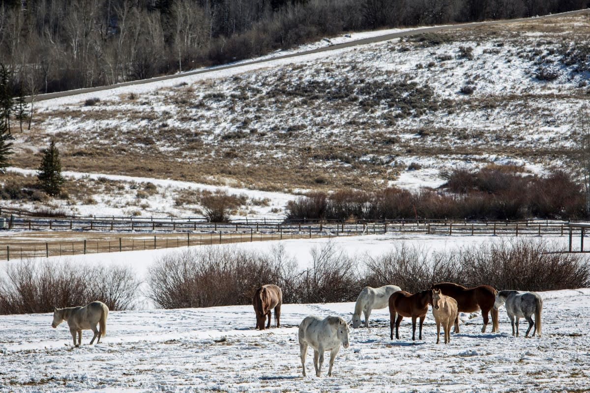 Exclusive Owl Creek Ranch Building Opportunity