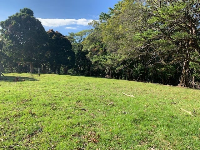 Vast Mountain Farm Acreage, Heredia