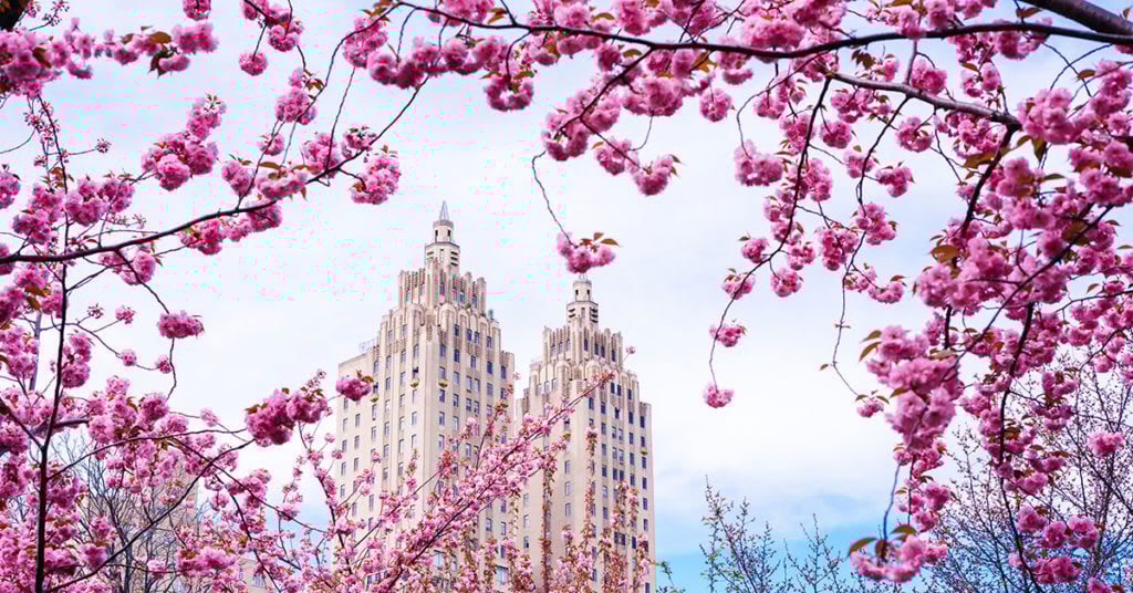 The Market Report: April 2022