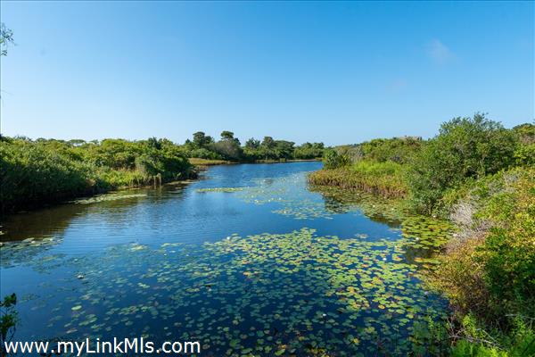 Hummock Pond