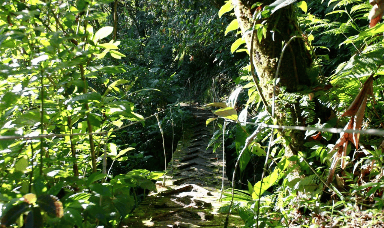 Waterfall Sanctuary with Hiking Trails