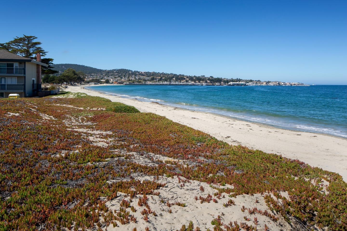 Sandy beach and blue ocean beside coastal groundcover, with a building at the shoreline.