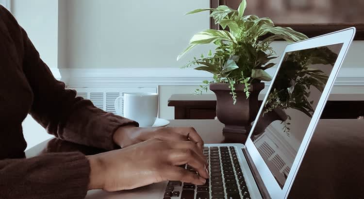 A person typing on a laptop, with a potted plant nearby.