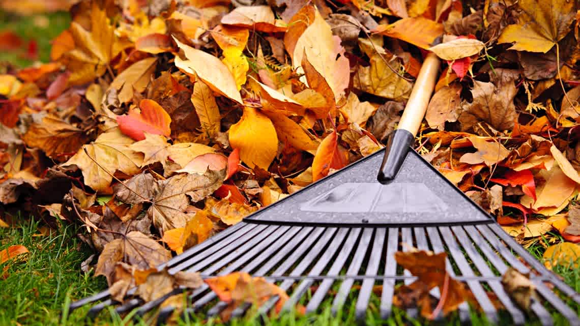 Fall Maintenance Checklist for Homeowners