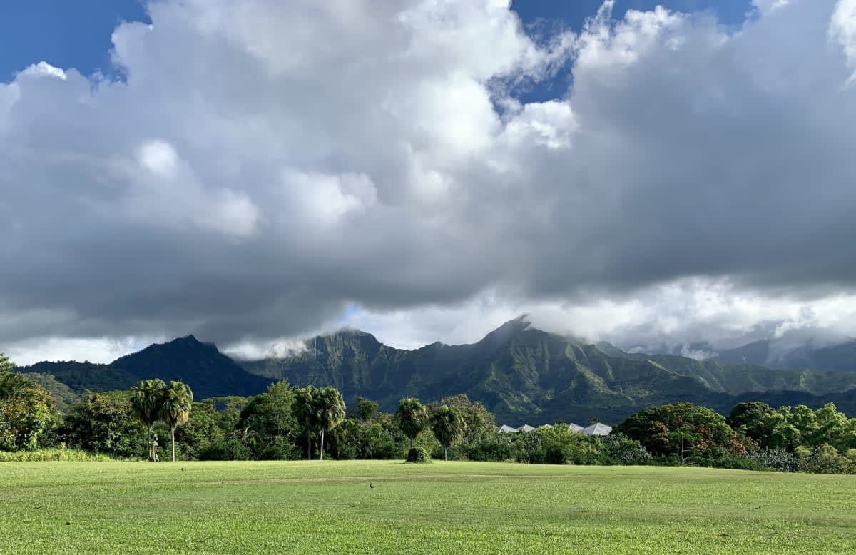 Hawaii's Current Travel Restrictions and Requirements