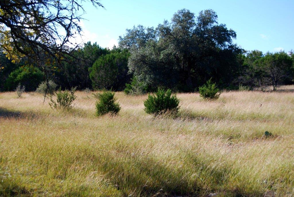 Cordillera Ranch