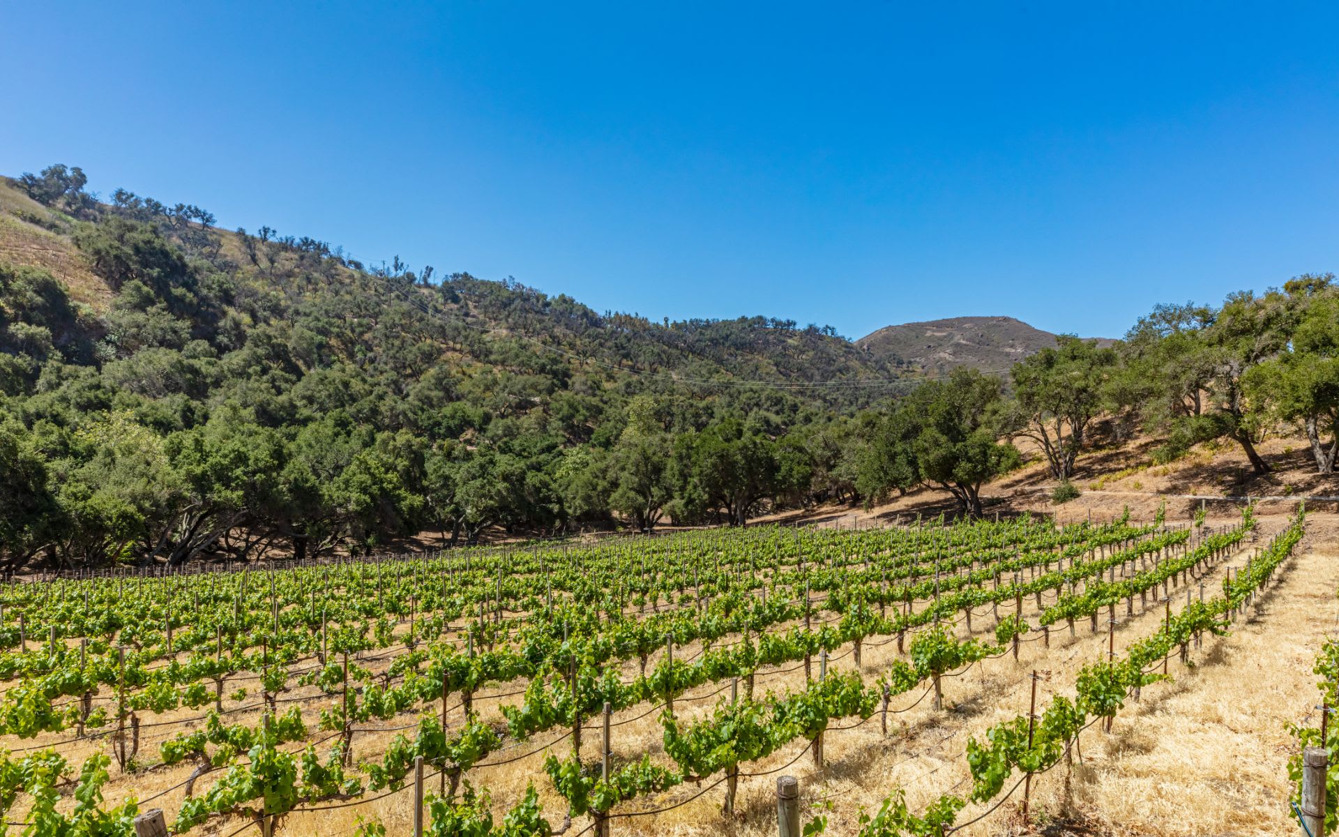 29000 Newton Canyon Road