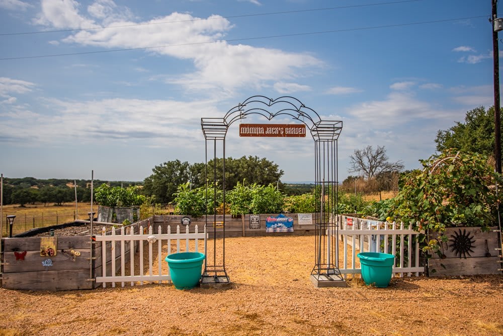 Dog Tick Ranch