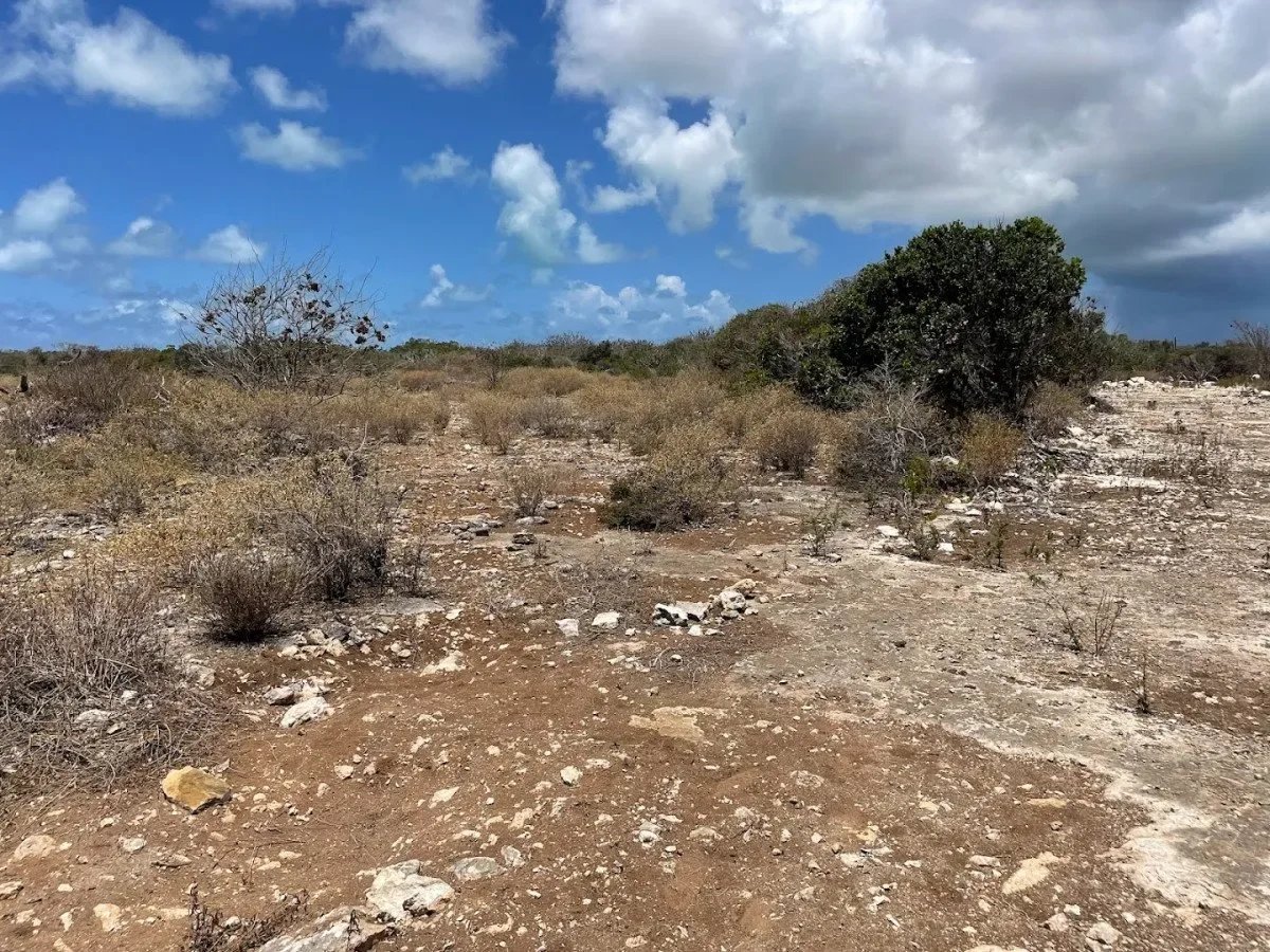 Anegada Land 