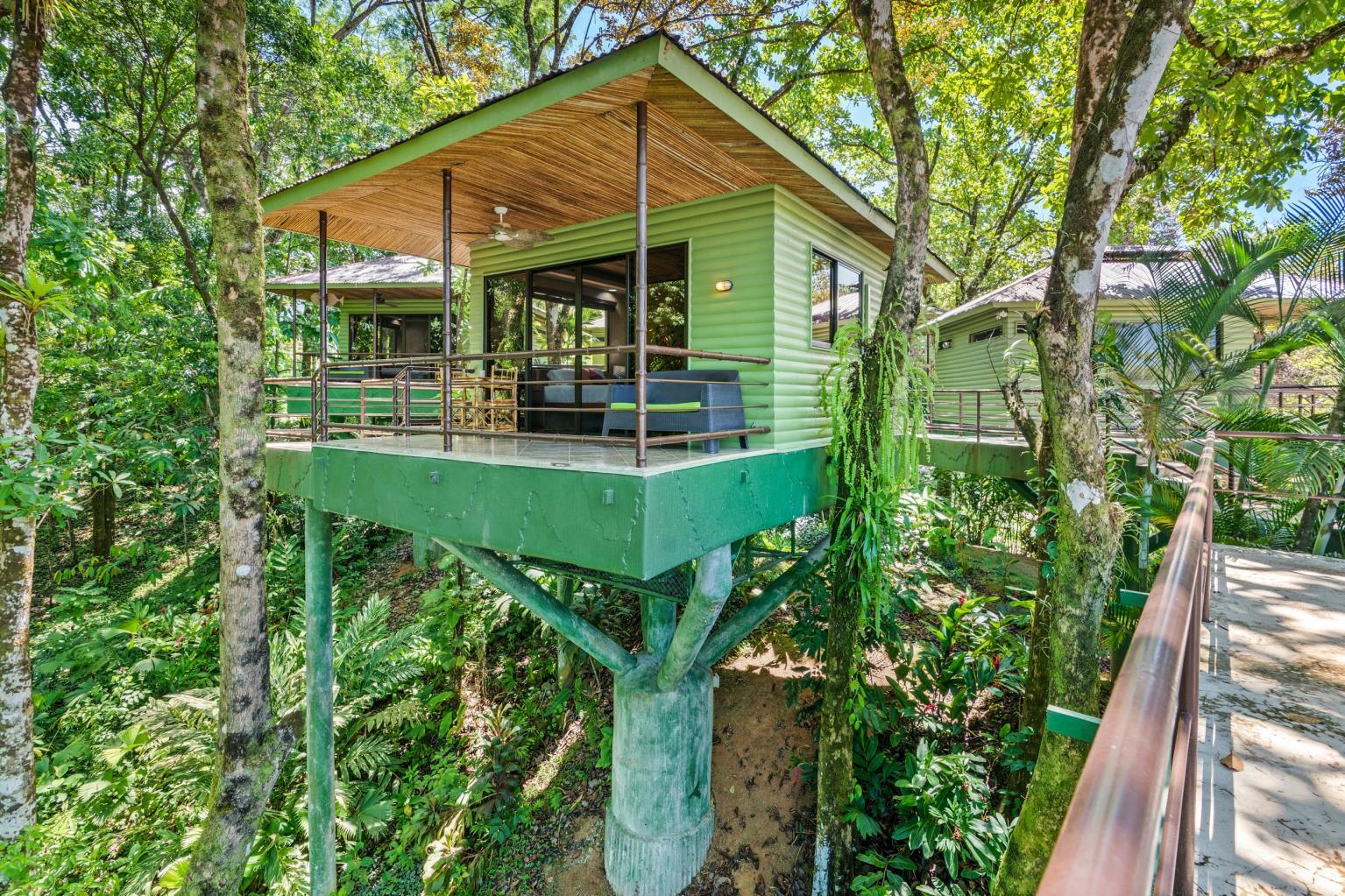 6 Beautiful Tree House Villas and Owners Home on Calle Toucan