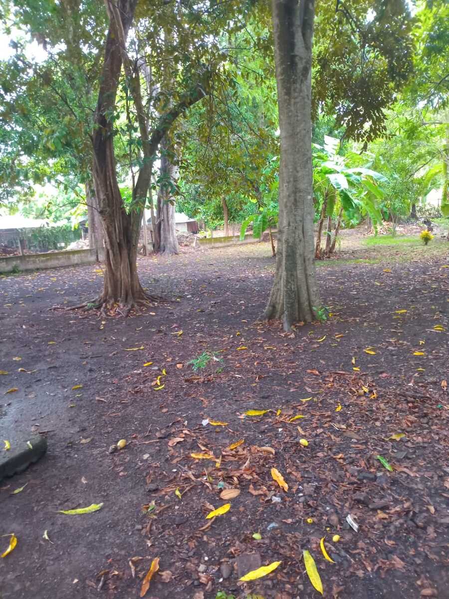 Mixed Use Development Lot, Papagayo, Guanacaste