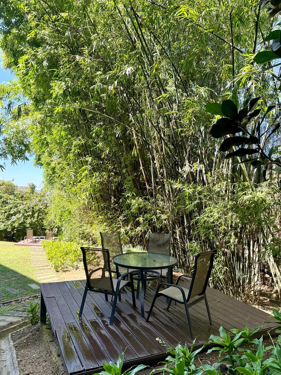 Garden Apartment Private Terrace, Santa Ana, San Jose