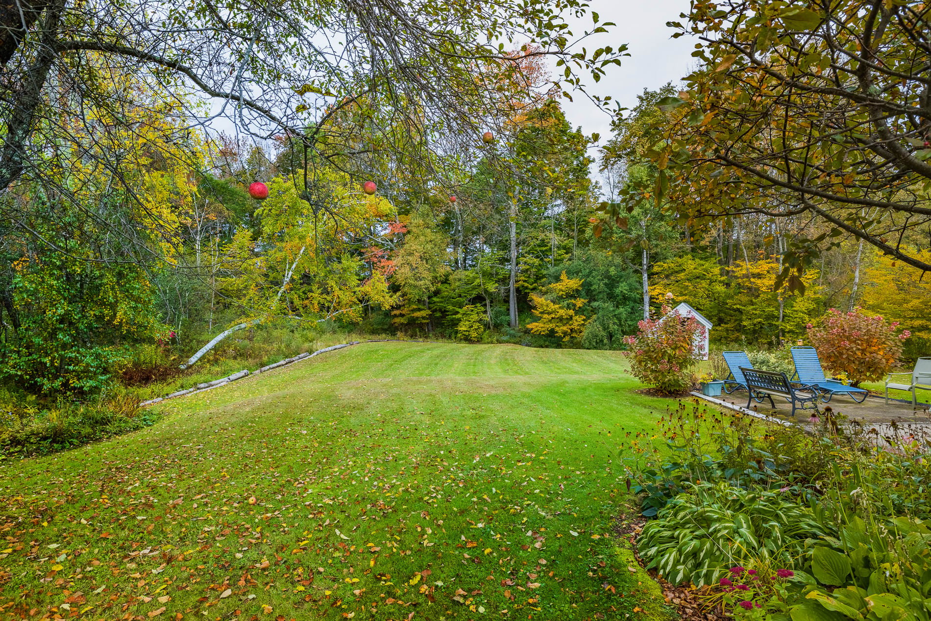 3 Bedroom Dorset Village