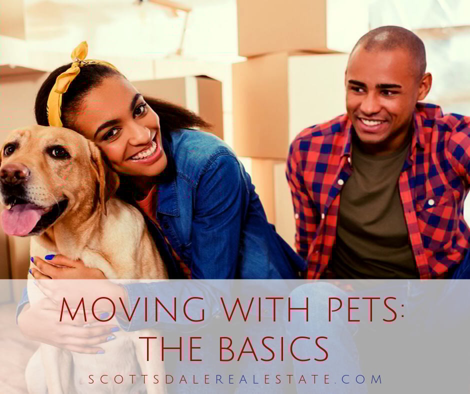 Moving With Pets: The Basics