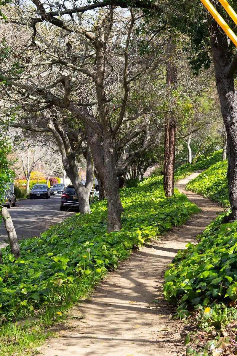 Berkeley